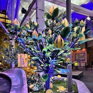 Meet your Posher, Pavel